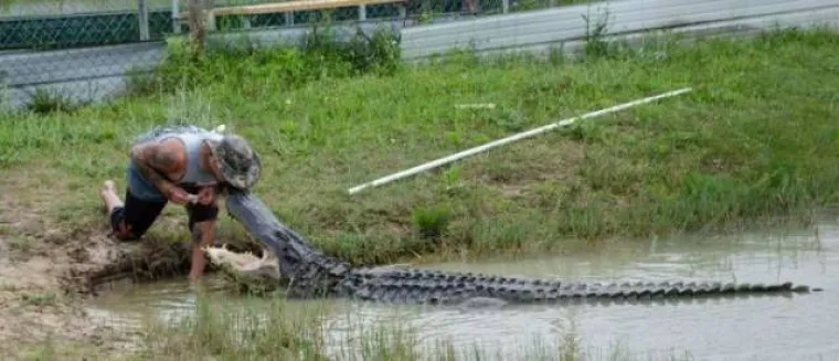 Mu&scaron;karci nisu ba&scaron; bistra stvorenja, nije niti čudo &scaron;to žive kraće