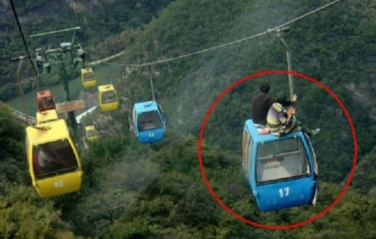 Mu&scaron;karci nisu ba&scaron; bistra stvorenja, nije niti čudo &scaron;to žive kraće