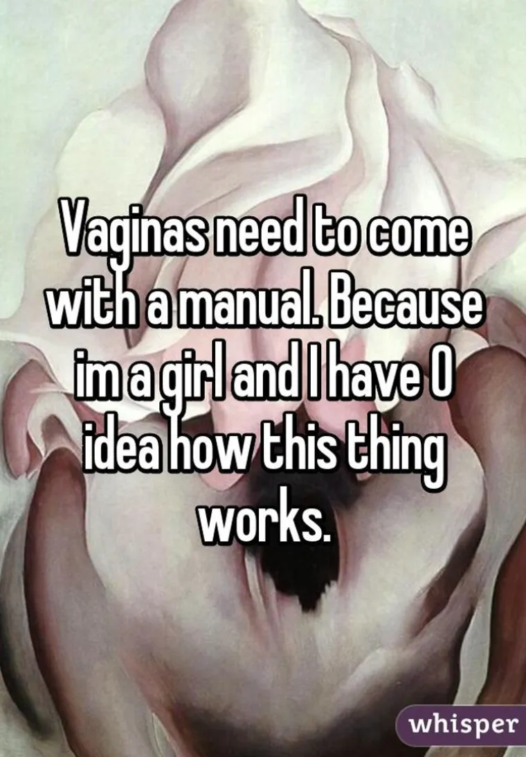 Vagine bi trebale dolaziti s uputstvima za upotrebu. Ja sam cura i nemam pojma kako funkcionira.