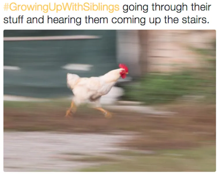 Kada im kopate po stvarim i čujete da se približavaju.