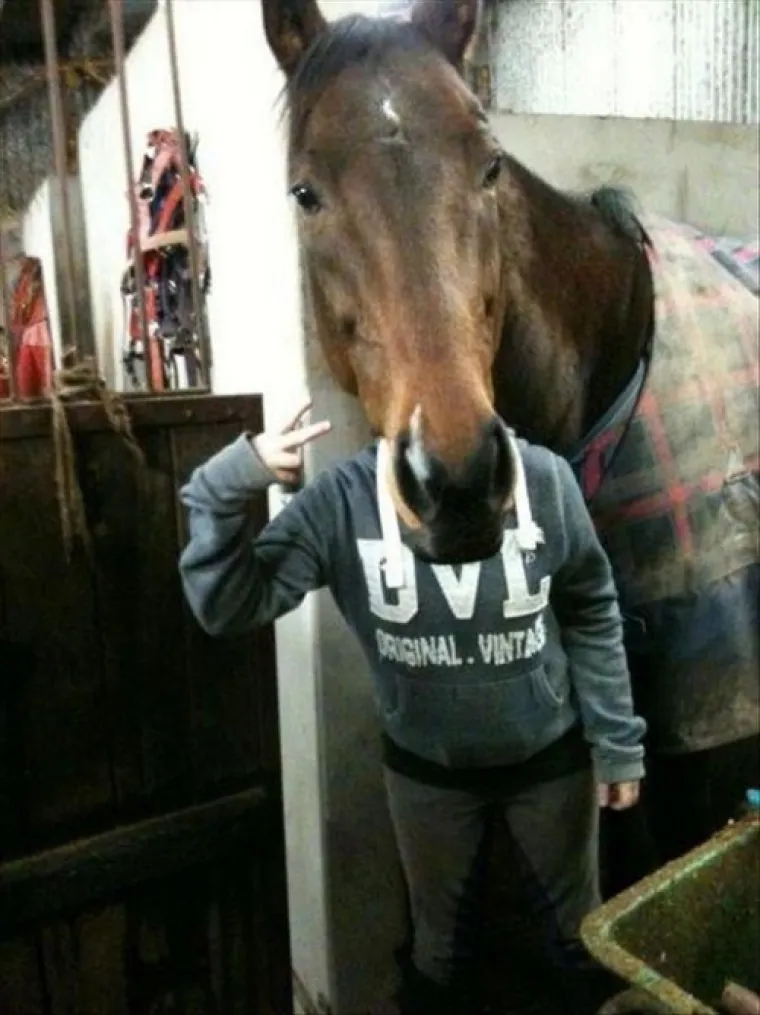 Dobar tajming radi čuda, ali najbolje da se u to uvjerite sami