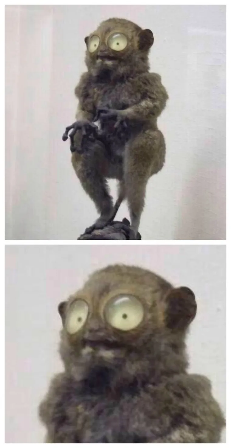 "Mislila sam da je penis veličine tampona. Nisam mogla zamisliti da ne&scaron;to veće stane u mogu vaginu"