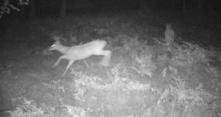 Jeziva je spoznaja da slike iz galerije nisu prizori iz horora već iz stvarnog života!