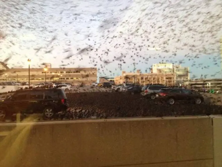 Jeziva je spoznaja da slike iz galerije nisu prizori iz horora već iz stvarnog života!