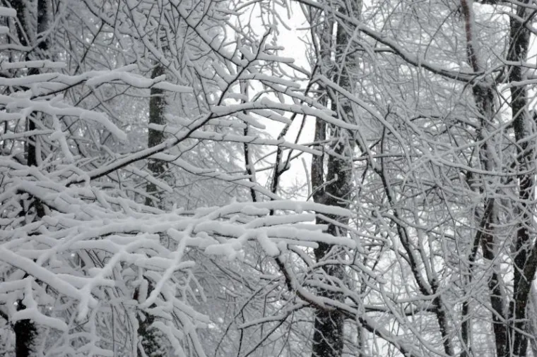 Snijeg zabijelio Hrvatsku, pogledajte fotografije koje nam &scaron;aljete