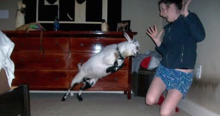 Ako se pitate za&scaron;to odrasli ljudi ponekad unerede gaće, odgovore pronađite u galeriji