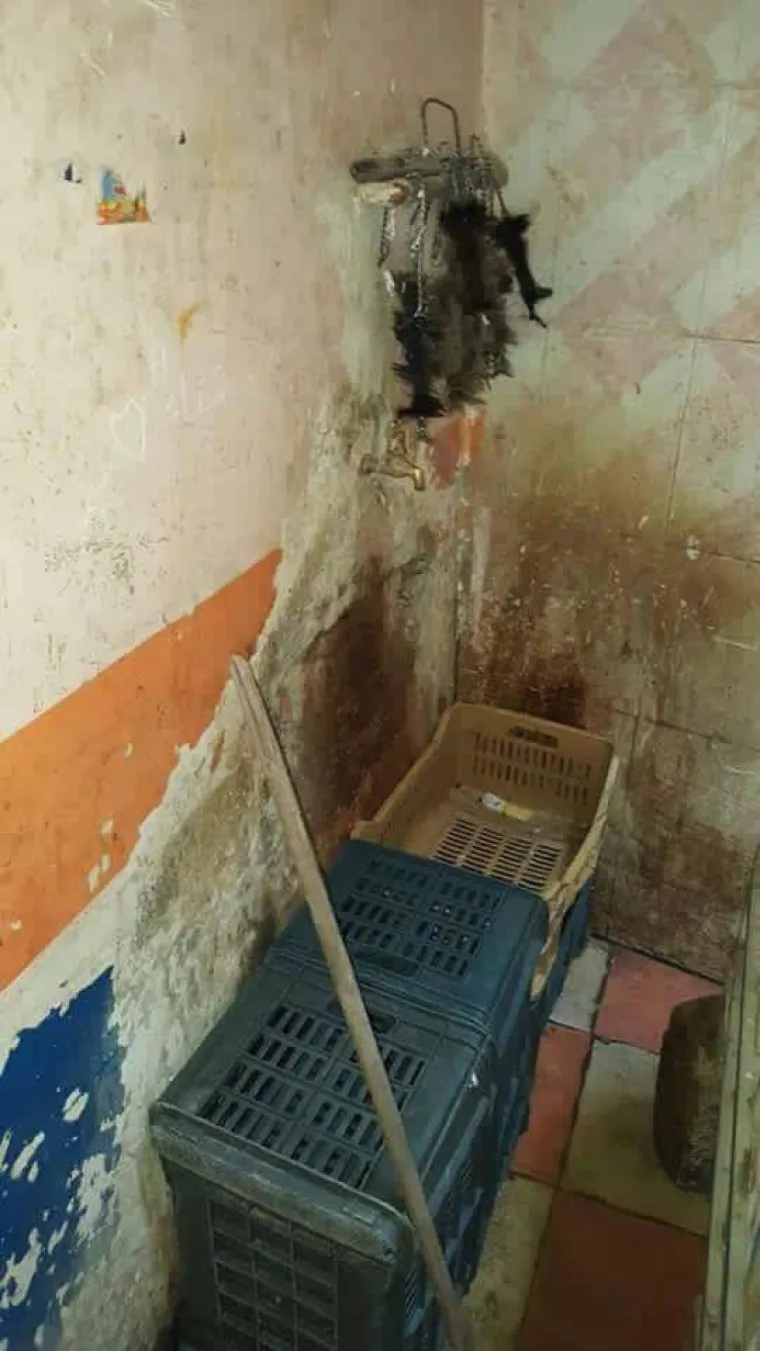 Odvratni prizori iz tvornice voćnih sokova nisu za one slabog želuca