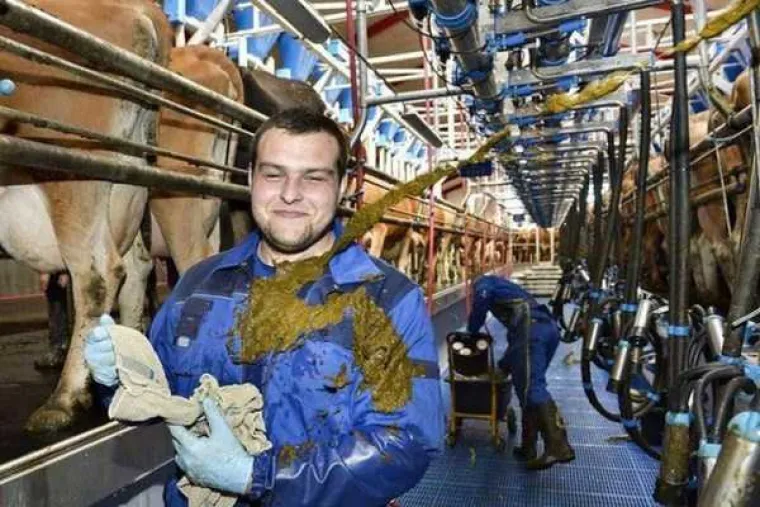 Koliko god vam dan bio težak, barem vas nije napastovao konj