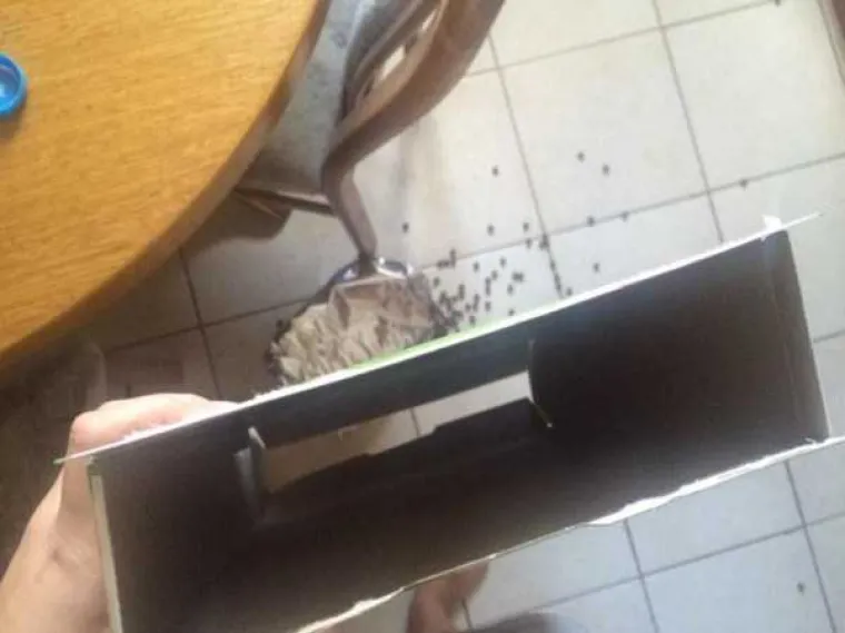 Koliko god vam dan bio težak, barem vas nije napastovao konj