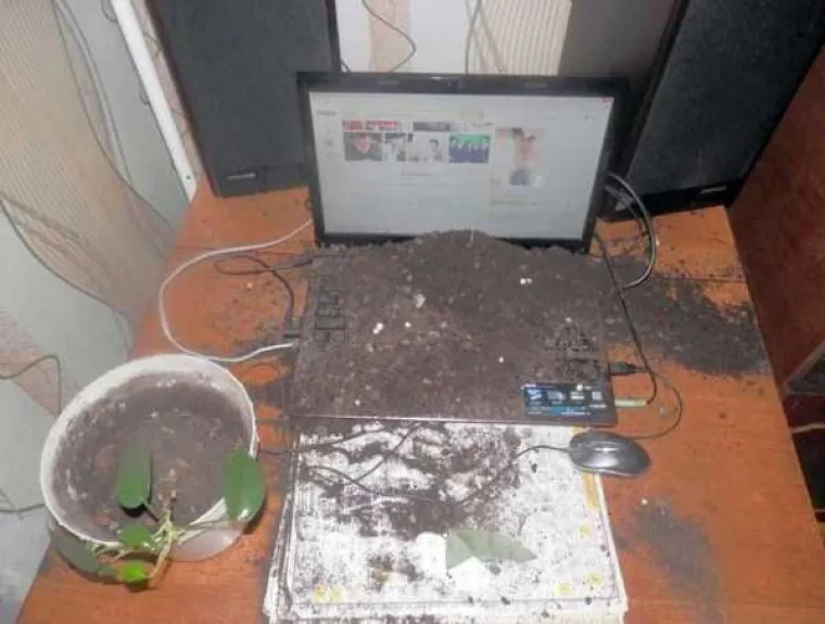 Koliko god vam dan bio težak, barem vas nije napastovao konj