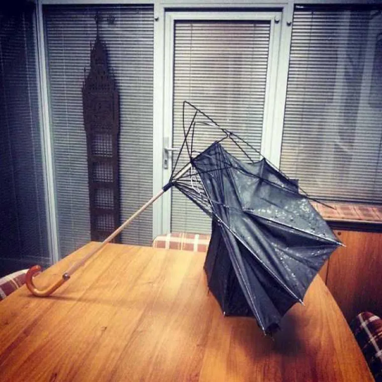 Koliko god vam dan bio težak, barem vas nije napastovao konj