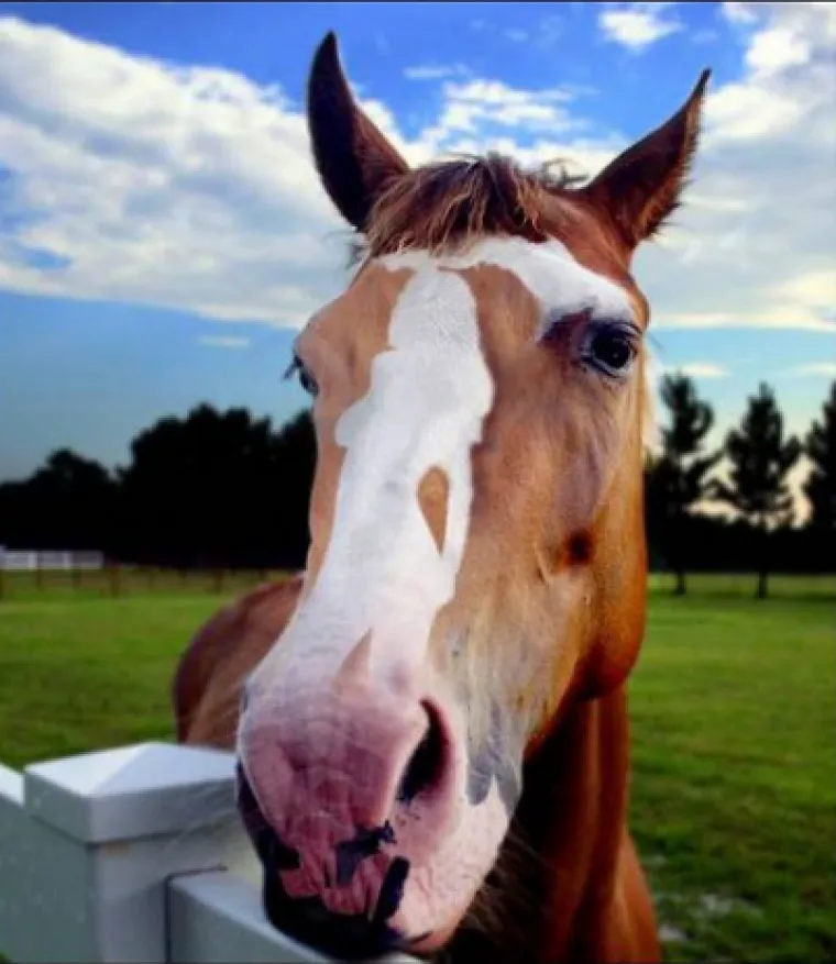 KOLIKO VAM JE PRLJAV UM? Testirajte se na ovaj jednostavan način