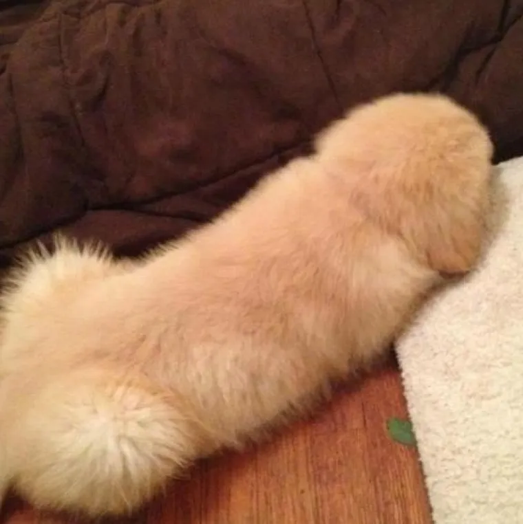 KOLIKO VAM JE PRLJAV UM? Testirajte se na ovaj jednostavan način