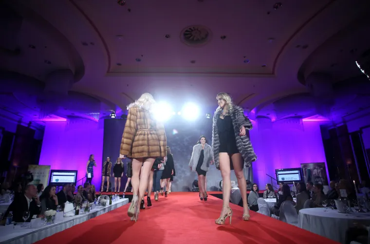 Izbor za Kraljicu Zagreba