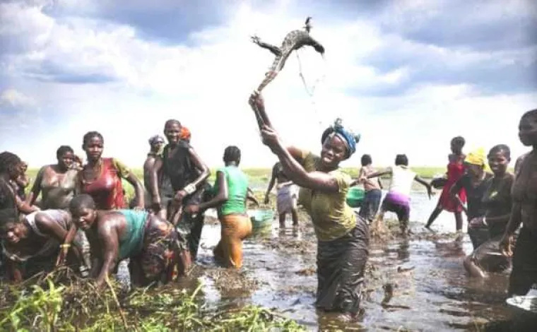 Afrika opasno konkurira za najbizarniji kontinent! Može li se nositi s Rusima, Amerima i Japancima?