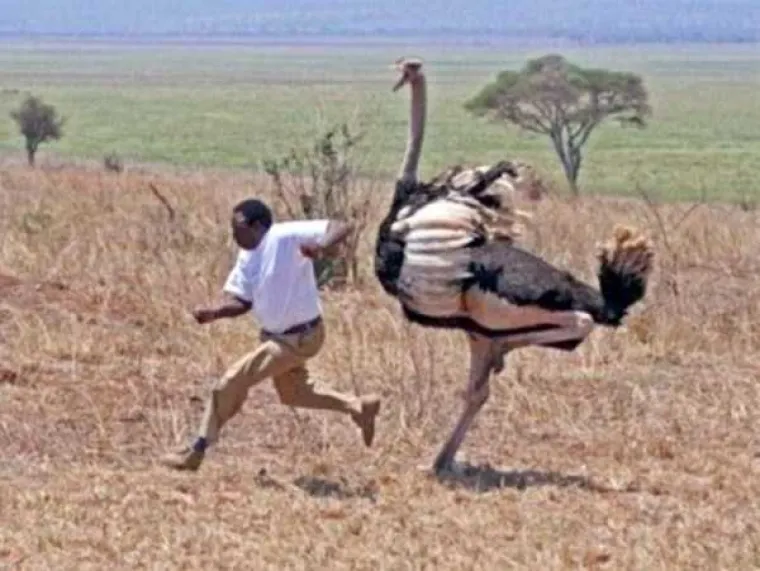 Afrika opasno konkurira za najbizarniji kontinent! Može li se nositi s Rusima, Amerima i Japancima?