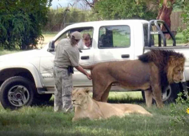 Afrika opasno konkurira za najbizarniji kontinent! Može li se nositi s Rusima, Amerima i Japancima?