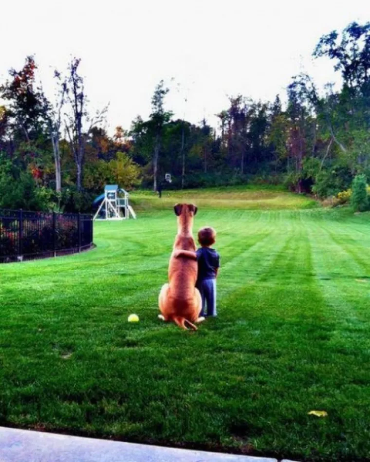 Psi nisu samo čovjekov najbolji prijatelj već možda i čovjekova najbolja dadilja. U galeriji smo okupili neke od simpatičnih prizora djece s kućnim ljubimcima pa sami procijenite jesu li bolje dadilje psi ili mačke.