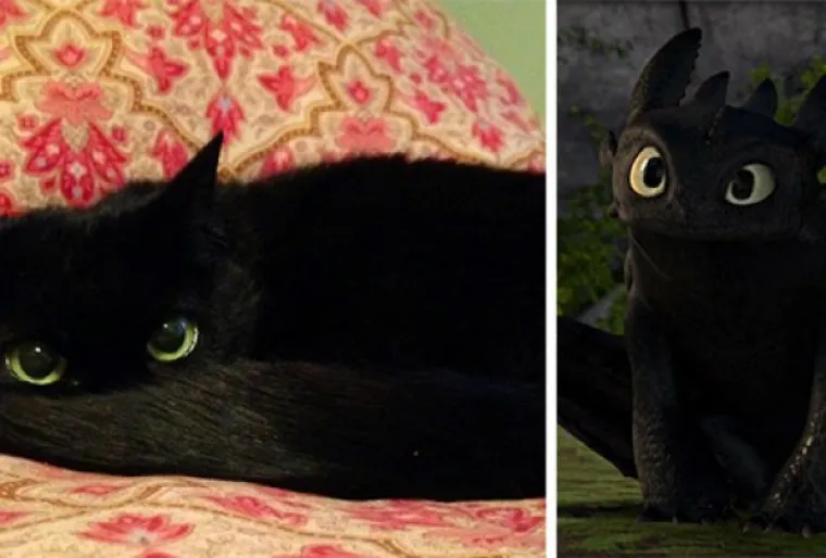 Izgledaju kao majmuni, kitovi i biljke, a svejedno su postali slavni