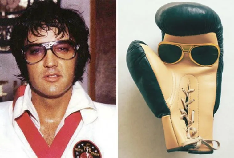 Izgledaju kao majmuni, kitovi i biljke, a svejedno su postali slavni