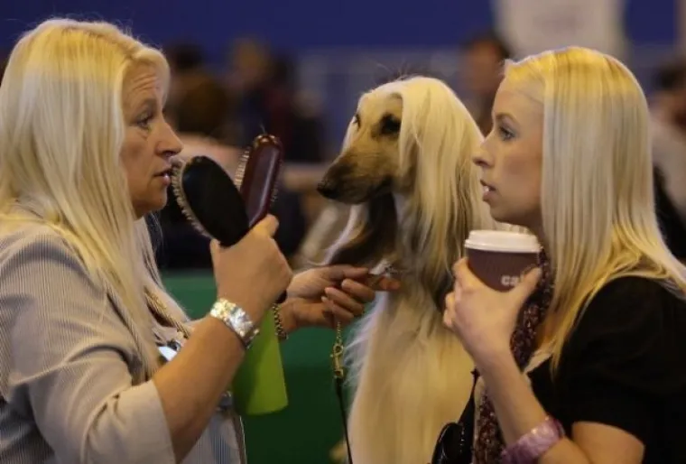 Izgledaju kao majmuni, kitovi i biljke, a svejedno su postali slavni