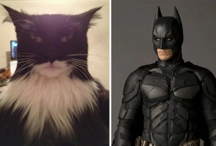 Izgledaju kao majmuni, kitovi i biljke, a svejedno su postali slavni