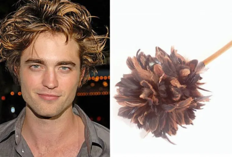 Izgledaju kao majmuni, kitovi i biljke, a svejedno su postali slavni