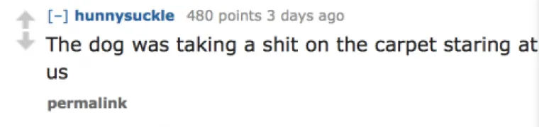 Pas je kakao po tepihu i gledao nas.