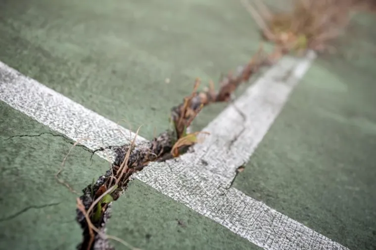 Hrvatski olimpijski centar na Bjelolasici propada kao grad duhova čekajući ulagača koji će oživjeti ovo lijepo skijalište i sportski centar. Uz Olimpijski centar prije desetak godina počela je intenzivna gradnja nekretnina. Danas su i ti objekti pusti te se prodaju. Otkad je izgorio restoran u kompleksu sportskog centra čitavo selo je utihnulo, a mještani koji su radili u centru ostali su bez posla. HOC Bjelolasica u stečaju je trenutno u 7. krugu prodaje putem javne dražbe.