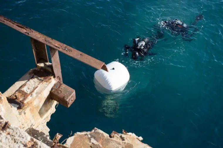 ULOV U RIJECI: Ajkule izvukle jo&scaron; jedan primjerak torpeda