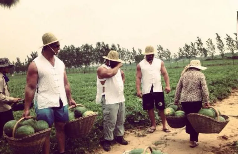 Dokaz da ne postoje mu&scaron;ki i ženski poslovi - žene stvarno mogu sve!