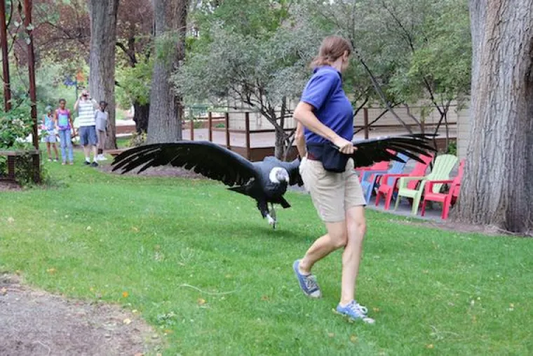 Situacije u kojima je jedina misao koja se mota po glavi: "O, sra*e..."