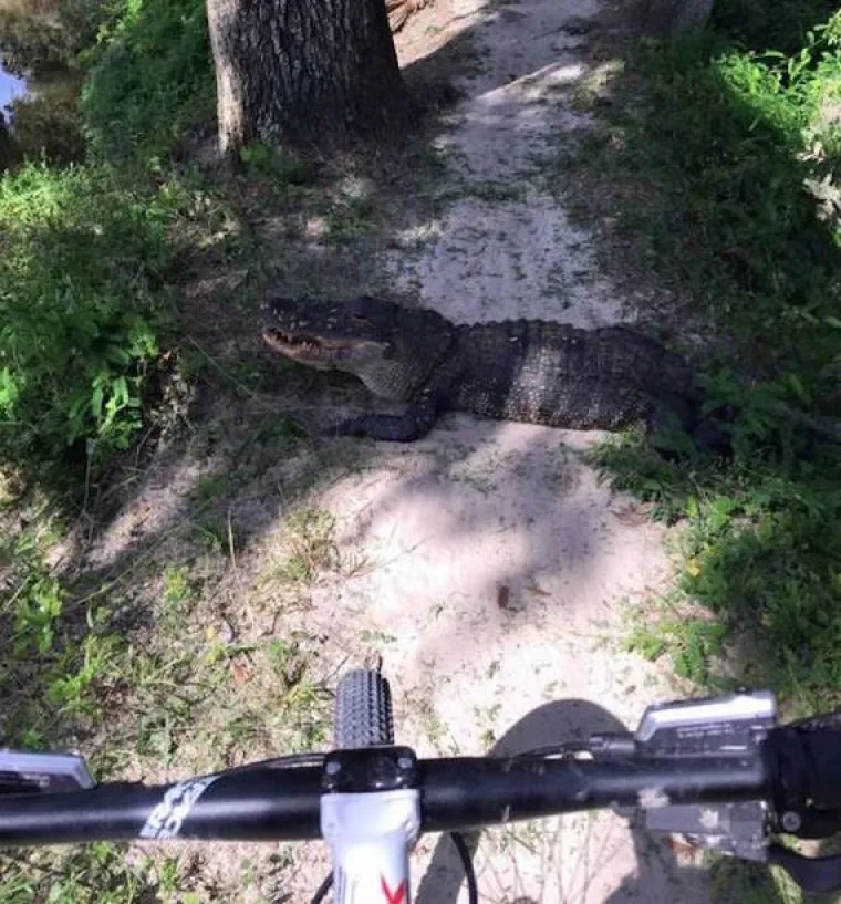 Situacije u kojima je jedina misao koja se mota po glavi: "O, sra*e..."