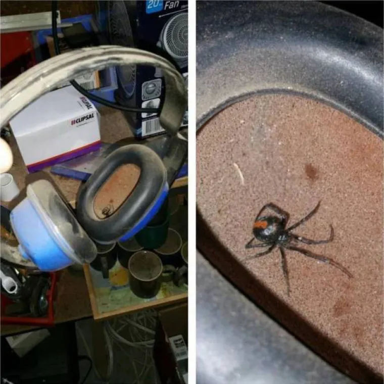 SAMO ZA HRABRE! Od ovih prizora odsjeći će vam se koljena, a moglo bi vam i pozliti