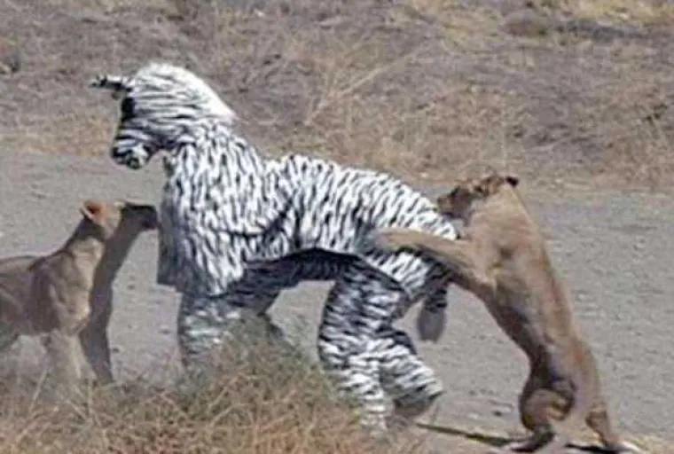 Ljudska vrsta bila bi genijalna da nam oni ne kvare prosjek...