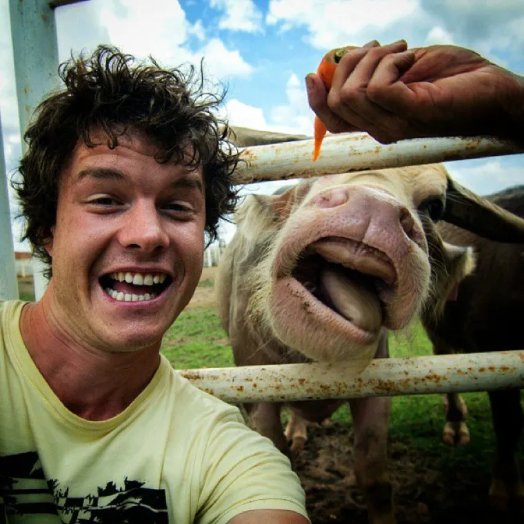 Allan Dixon snima selfieje s prekrasnim životinjama