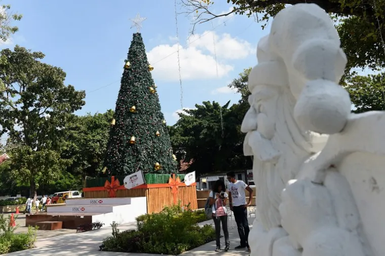 Božićna jelka na Sri Lanki.
