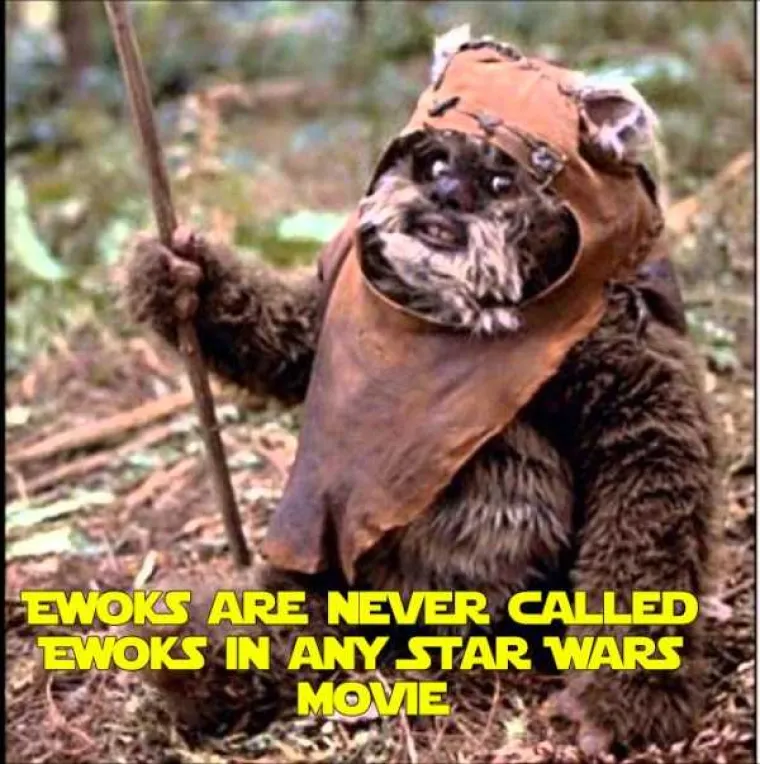 Naziv Ewok se ne spominje niti u jednom Star Wars filmu.