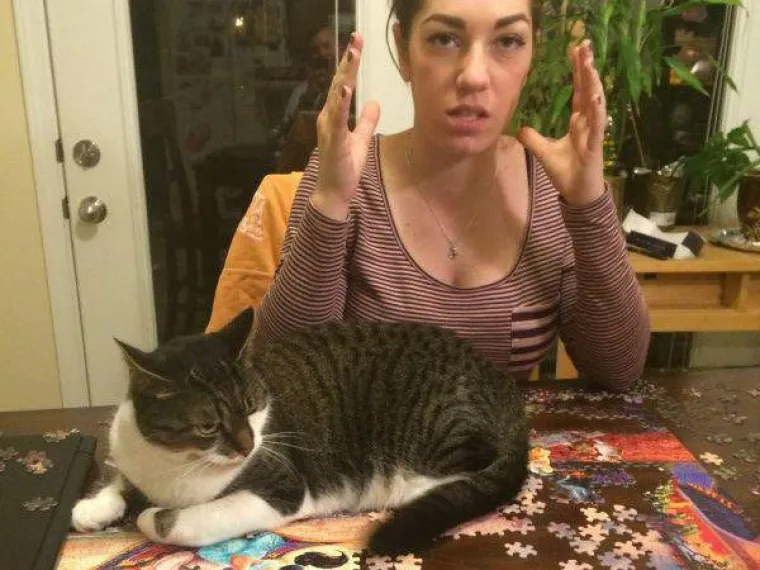 Prije nego &scaron;to nabavite mačku u sklopu novogodi&scaron;nje odluke, možda bolje da pogledate galeriju koju smo vam pripremili i nabavite psa. Ako i nakon galerije mislite da su mačke dražesne i &scaron;armantne, zaslužujete sve &scaron;to vam prirede.