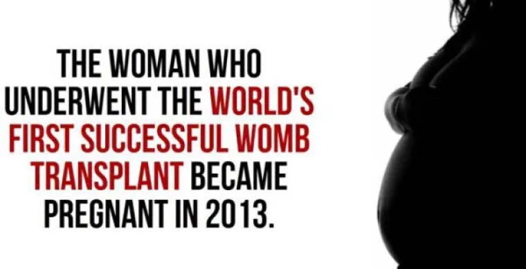 Prva žena kojoj je uspje&scaron;no presađena maternica zatrudnjela je 2013.
