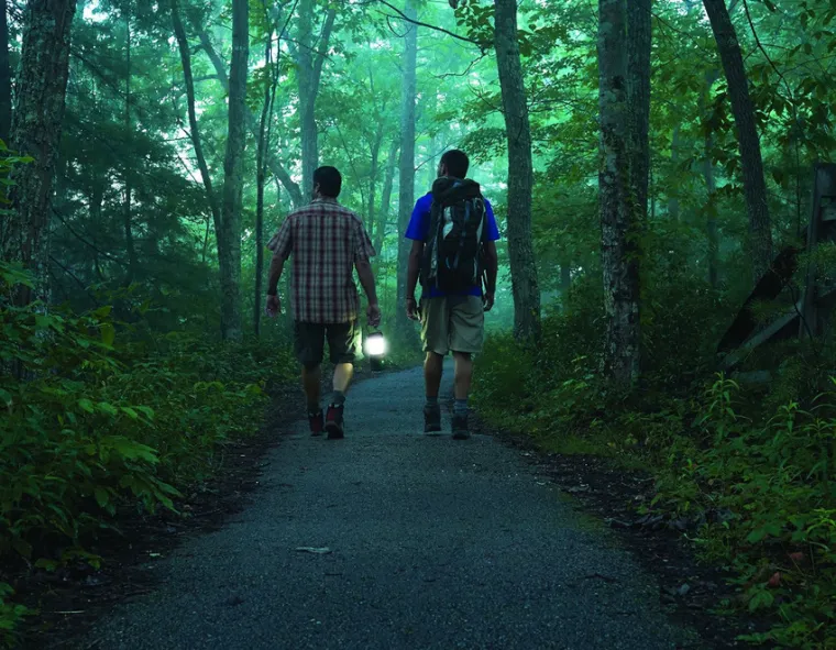 Svjetiljka koja ujedno i štiti od komaraca.