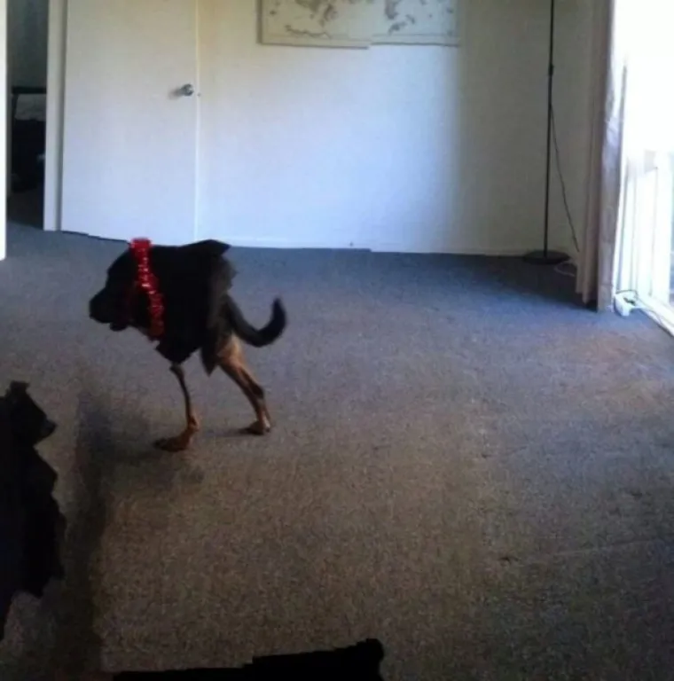 Potrebno je stvarno malo da se ljudi pretvore u čudovi&scaron;ta