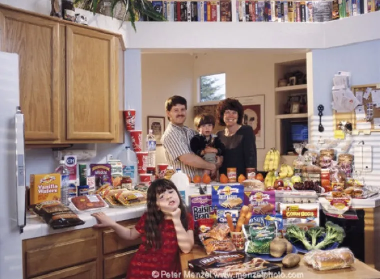 Američki slobodni novinar i fotograf Peter Menzel pratio je 30 obitelji diljem svijeta u kupovini i nabavljanju namirnica te kuhanju te u svojoj seriji 'Hungry Planet: What the World Eats' otkrio koliko neka obitelj iz određene zemlje tjedno odvoji za hranu. U SJedinjenim Državama je to 341.98 dolara (2406.78 kuna)