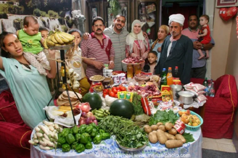 Američki slobodni novinar i fotograf Peter Menzel pratio je 30 obitelji diljem svijeta u kupovini i nabavljanju namirnica te kuhanju te u svojoj seriji 'Hungry Planet: What the World Eats' otkrio koliko neka obitelj iz određene zemlje tjedno odvoji za hranu. U Egiptu je to 68,53 dolara (482,30 kuna)