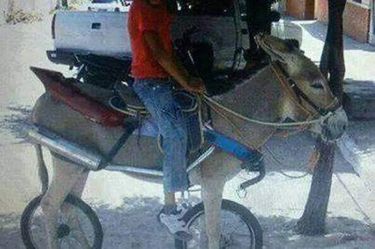 Svi smo se na&scaron;li u situaciji da molimo i molimo nekoga da popravi ili zamijeni neku sitnicu, a na kraju to onda moramo napraviti sami ili to konačno naprave oni... na svoj način. U galeriji smo okupili neko od genijalnih (i možda pogubnih) izuma koji su nastali u takvoj nuždi.