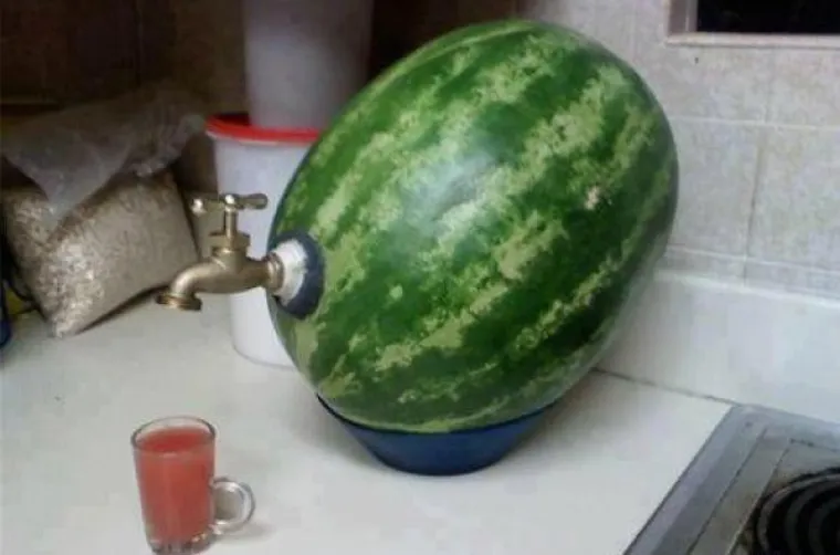 Znate ono kad zamolite muža da ne&scaron;to popravi pa vas skoro ubije svojim ludim izumom?