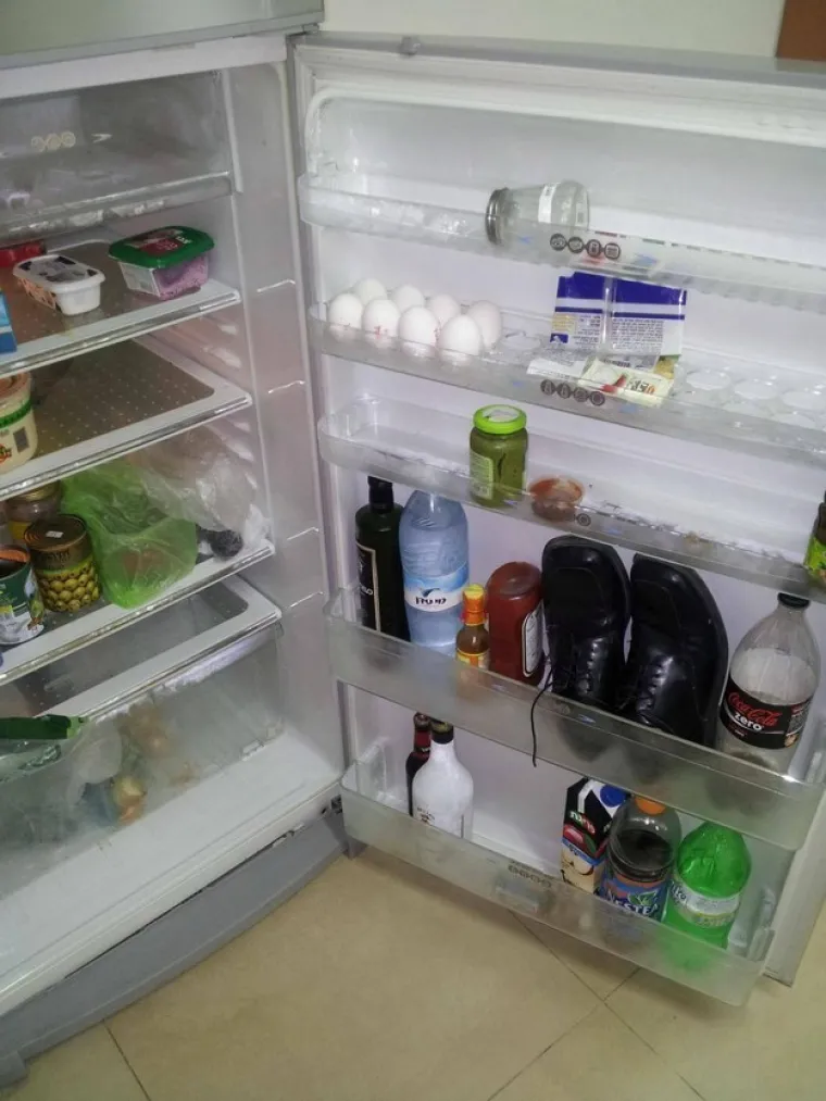 I nemate apsolutno nikakav smisao za logiku.