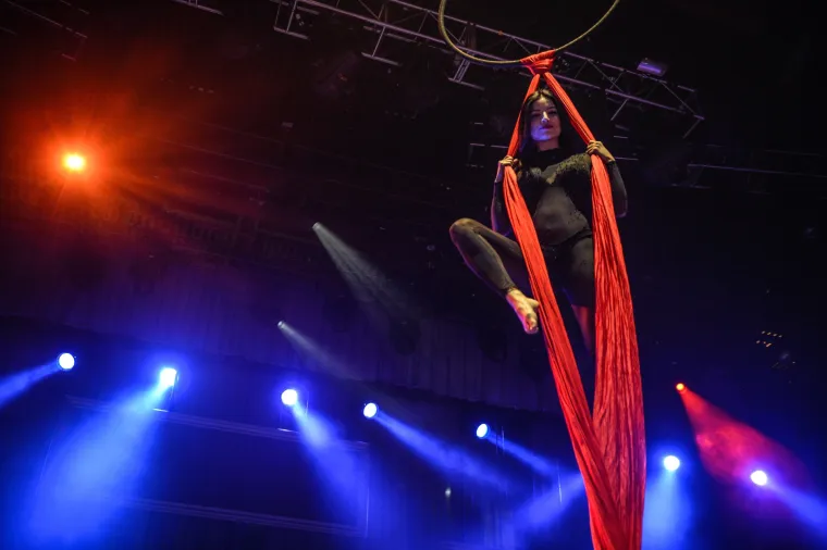 AVN Adult Entertainment Expo