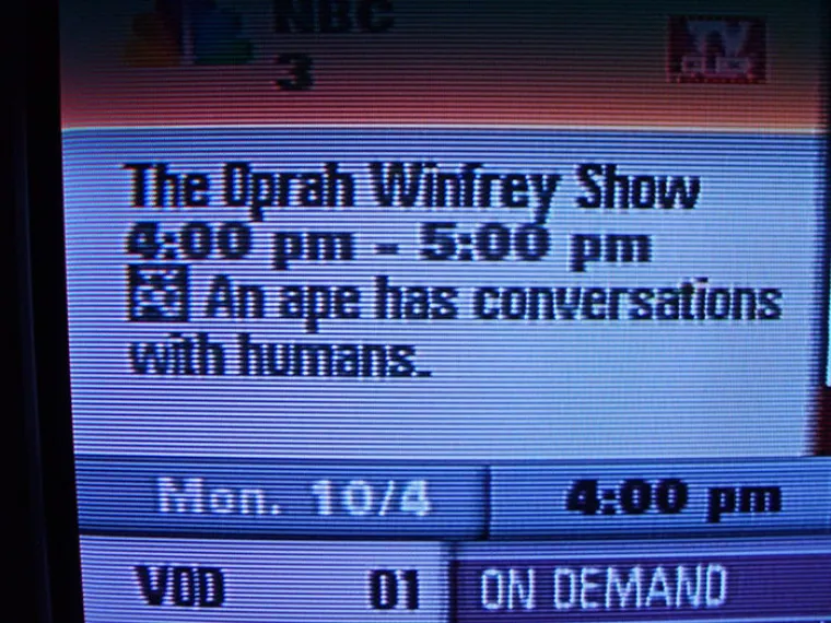 Čisti rasizam ili samo jedna velika i jako nezgodna slučajnost?