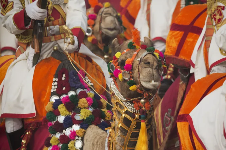 Vojni mimohod u Indiji